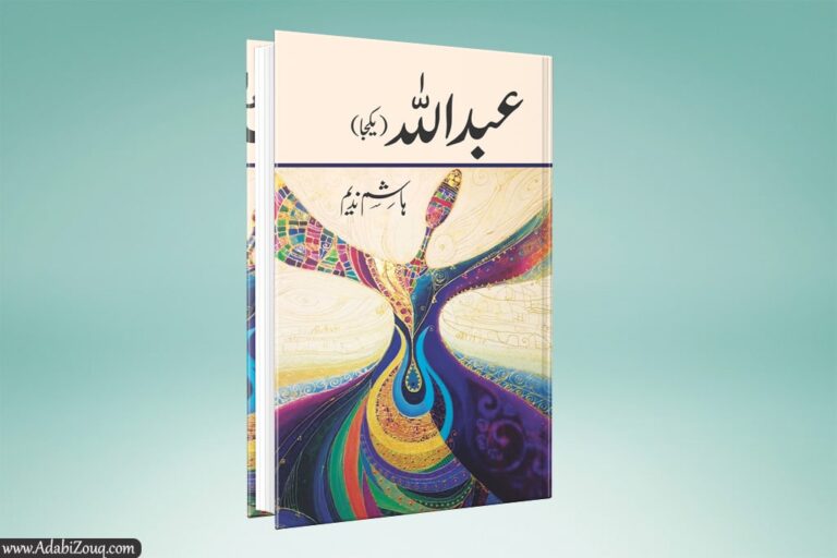 Abdullah Novel Complete By Hashim Nadeem