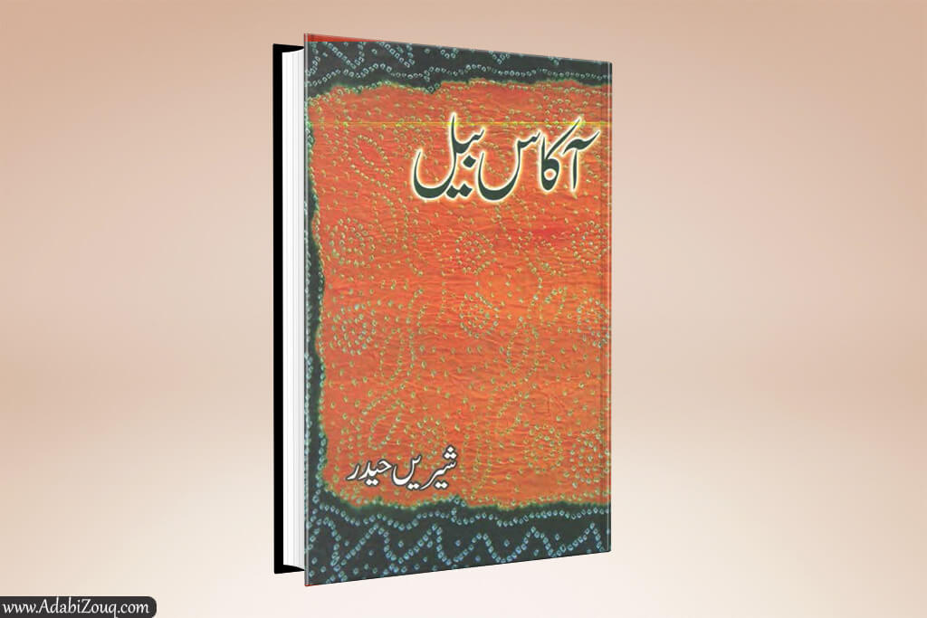 Akas Bail Novel By Shireen Haider PDF