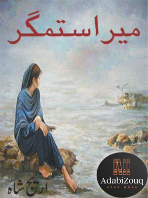 Mera-Sitamgar-Urdu-Novel