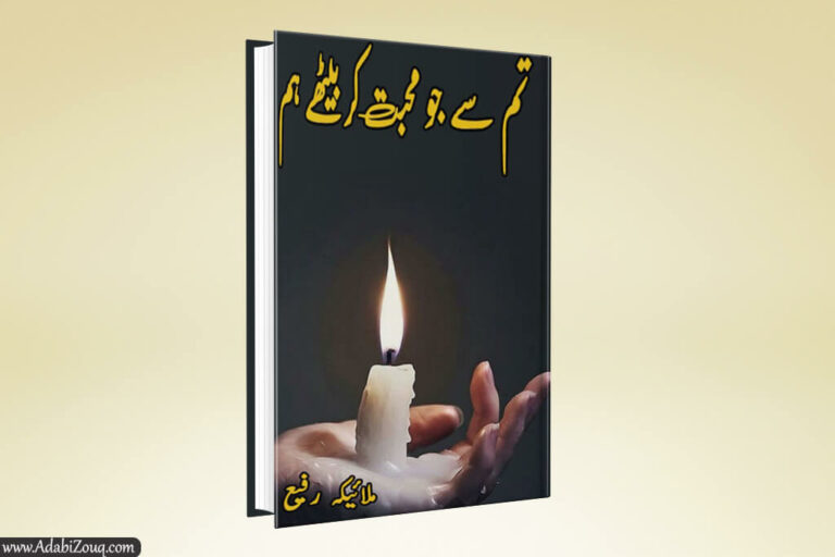 Tum Se Jo Mohabbat Kar Bethy Hum by Malaika Rafi PDF
