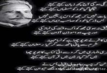 Tazkira Hussain Bin Mansoor Hallaj By Shahid Mukhtar