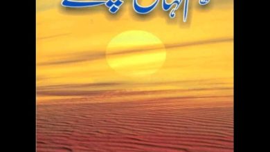 Hum Kahan Ke Sachay Thay Novel By Umera Ahmed