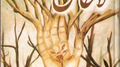 La Hasil Novel By Umera Ahmed