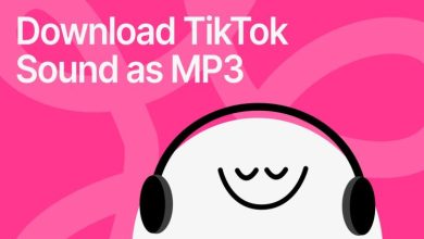 How to download videos and mp3 from tiktok with the help of stick downloader in Thai