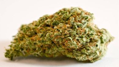 How to Buy High Quality Weed Online Tips and Tricks