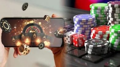 Elevate Your Play Discover the Ultimate Live Casino Singapore