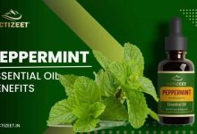 Exploring Mentha Piperita Benefits and Uses of Peppermint