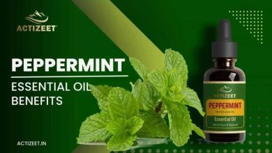 Exploring Mentha Piperita Benefits and Uses of Peppermint