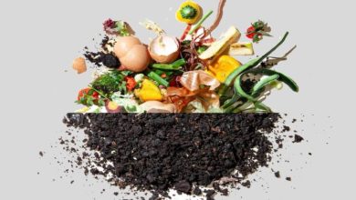 Urban Composting Transform Kitchen Waste into Gold for Your Garden