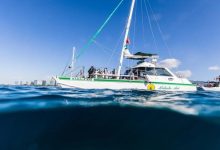 Set Sail for Adventure Unveiling the Magic of Snorkeling Boat Tours