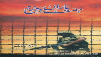 Hama Yaran Dozakh By Saddique Salik
